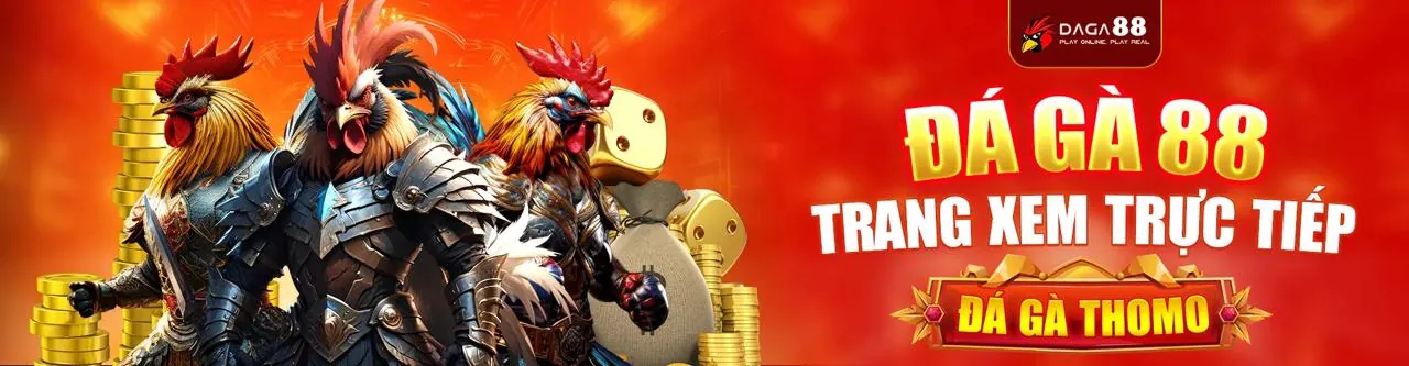 VN16 Bet - Hướng dẫn chọn nền tảng cá cược trực tuyến tốt nhất